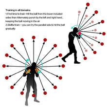 Load image into Gallery viewer, Training Ball