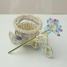 Load image into Gallery viewer, Bunte Galaxy Rose mit Love