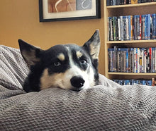 Load image into Gallery viewer, QUEEN Chair