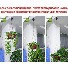 Load image into Gallery viewer, Retractable Pulley Hanging Basket
