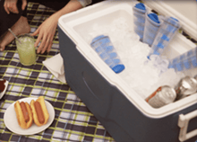 Load image into Gallery viewer, The Magic Freeze
